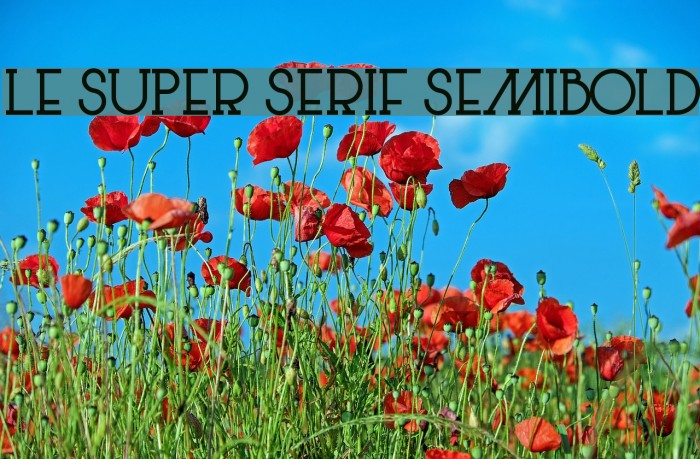 Le Super Serif SemiBold Font examples