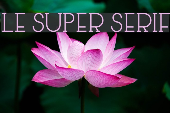 Le Super Serif Font examples