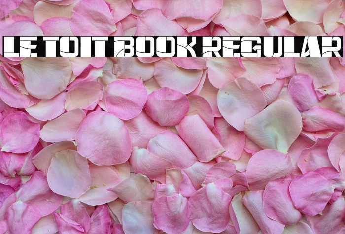 Le Toit Book Regular Example 1