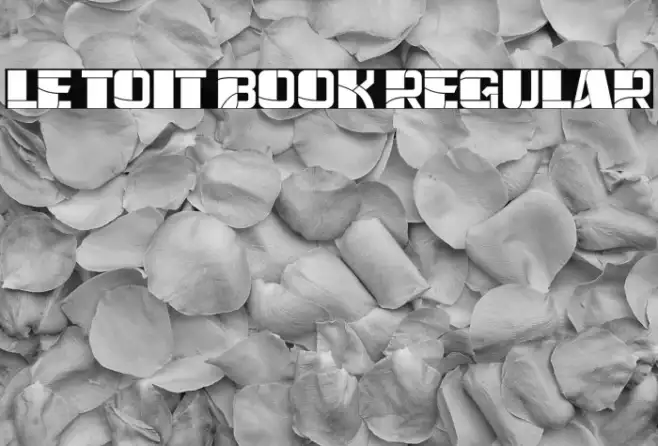Le Toit Book Regular Example 1