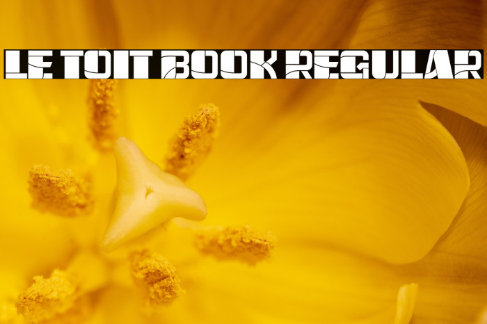 Le Toit Book Regular Example 2