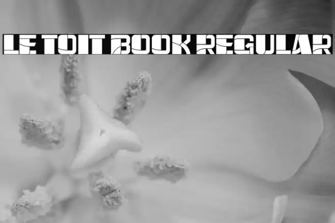 Le Toit Book Regular Example 2