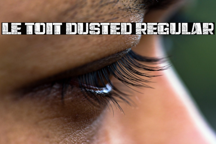 Le Toit Dusted Regular Example 1