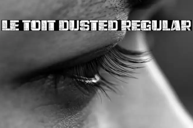 Le Toit Dusted Regular Example 1