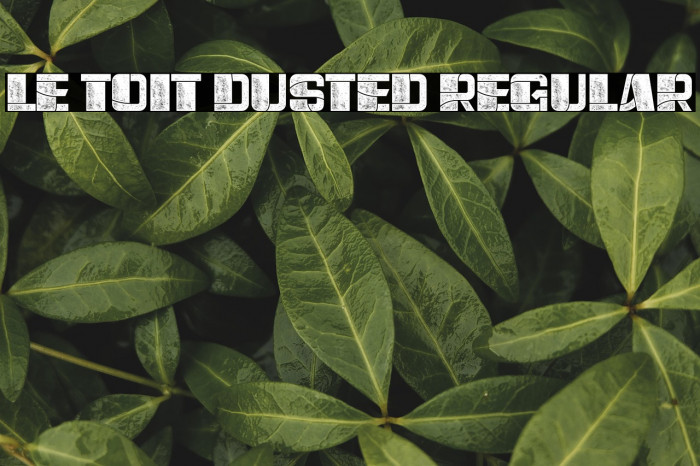 Le Toit Dusted Regular Example 3