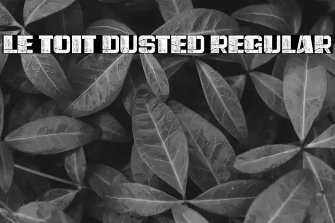 Le Toit Dusted Regular Example 3