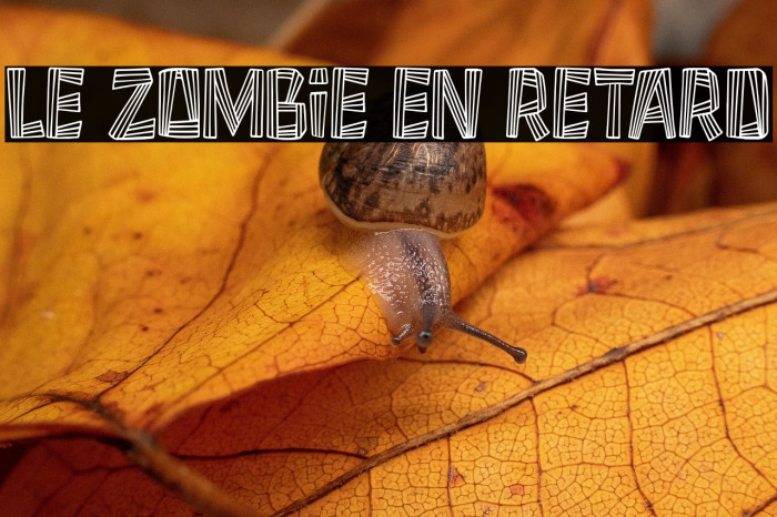 Le Zombie en Retard Example 3