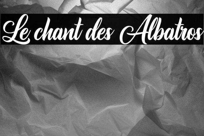 Le chant des Albatros Example 2