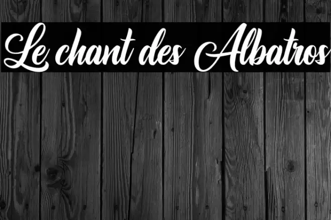 Le chant des Albatros Font examples