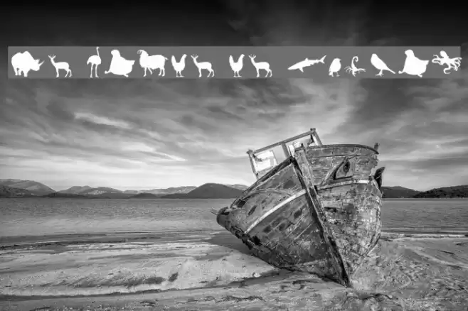 Le monde de Victor Шрифта examples