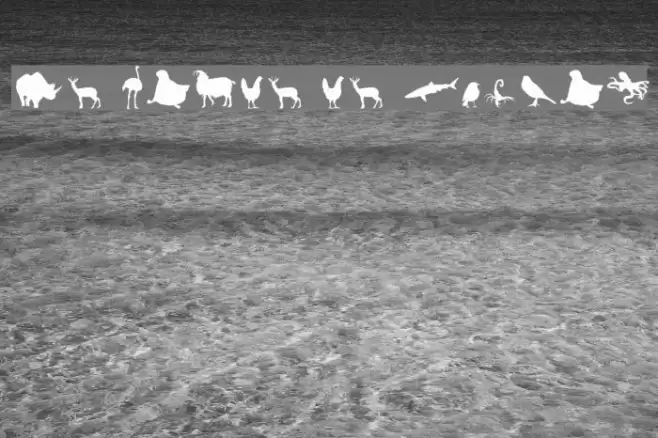 Le monde de Victor Шрифта examples