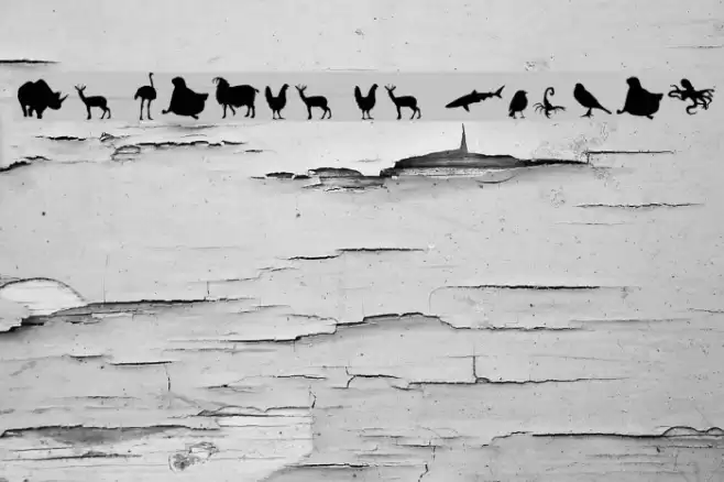 Le monde de Victor Шрифта examples