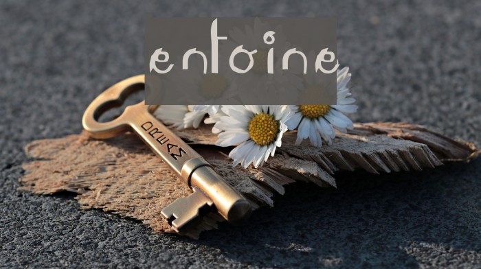 LeAntoine Font examples