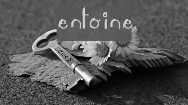 LeAntoine Example 1