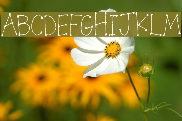 LeDot Font examples