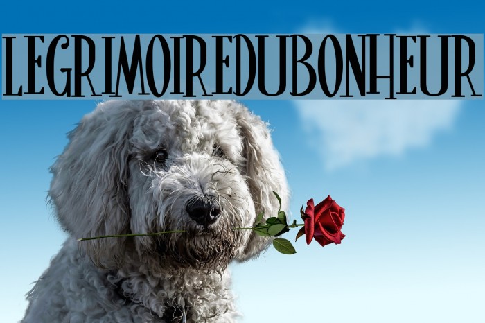 LeGrimoireduBonheur Font examples