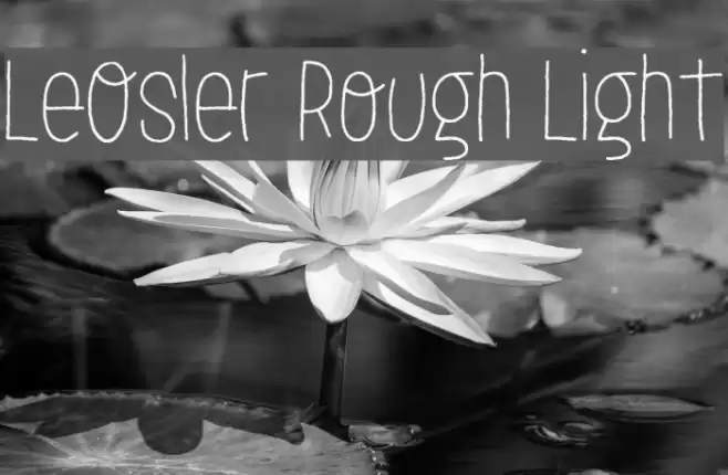 LeOsler Rough Light Font examples