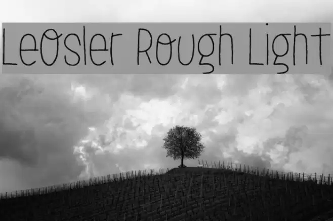LeOsler Rough Light Font examples