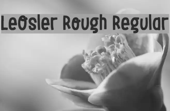 LeOsler Rough Regular Font examples