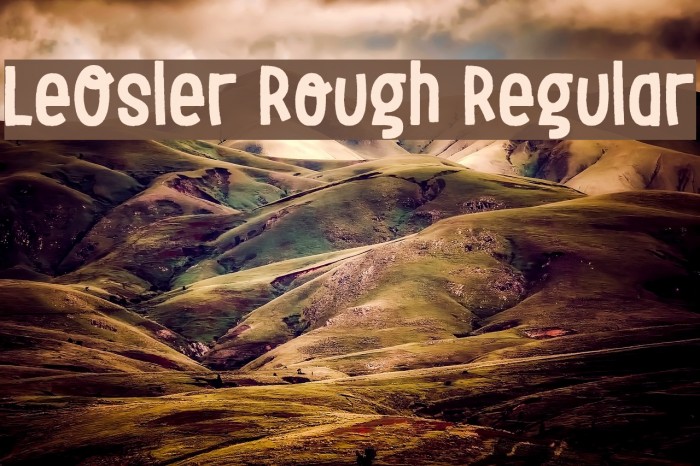 LeOsler Rough Regular Example 2