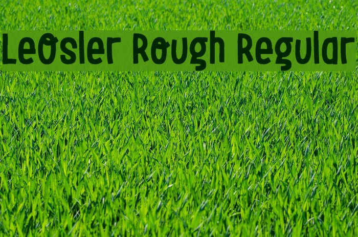 LeOsler Rough Regular Example 3