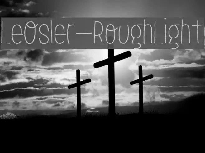 LeOsler-RoughLight Example 3