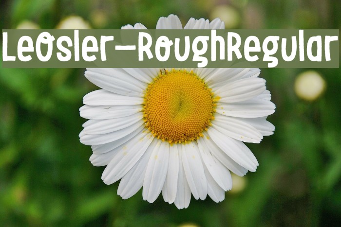 LeOsler-RoughRegular Font examples