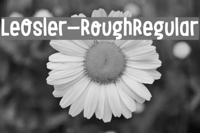 LeOsler-RoughRegular Example 2