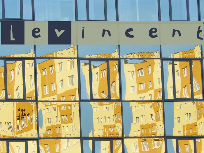LeVincent Font examples