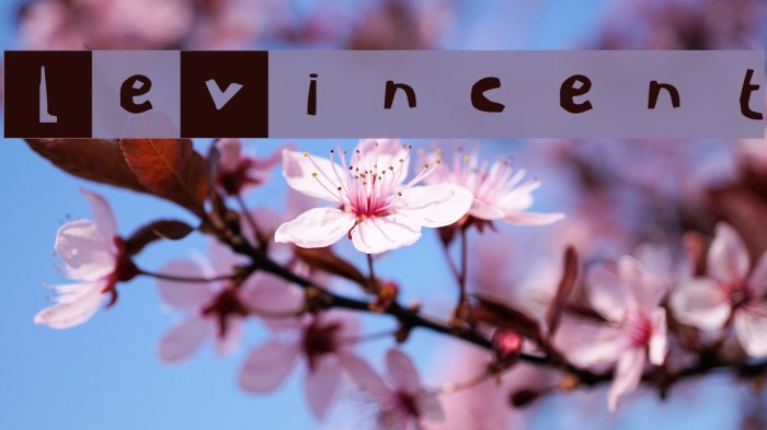 LeVincent Font examples