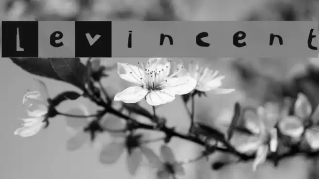 LeVincent Шрифта examples