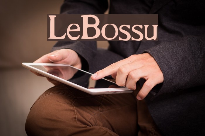Le_Bossu Font examples