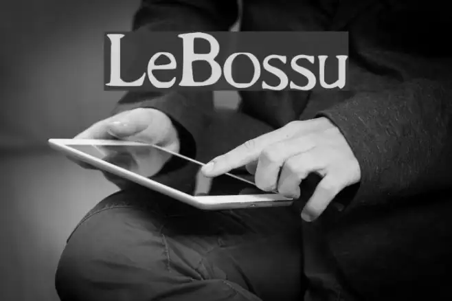 Le_Bossu Example 1