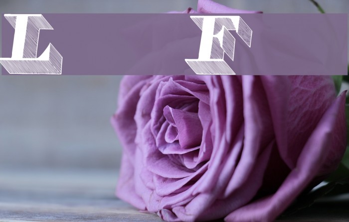 Lead Font examples