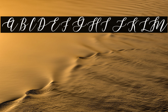 LeadentScript-Light Example 1