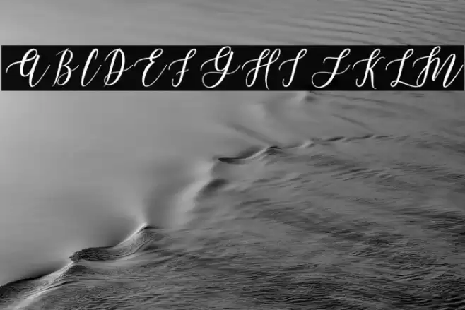 LeadentScript-Light Font examples