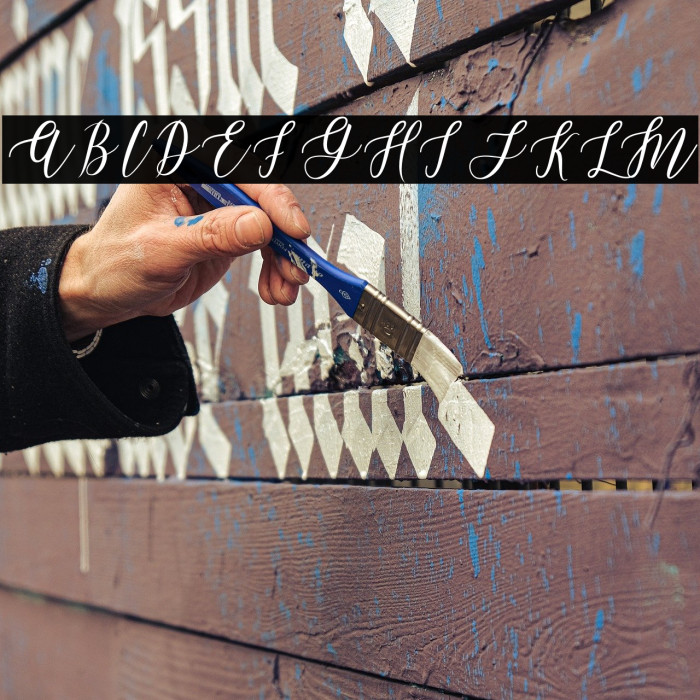 LeadentScript-Light Example 2