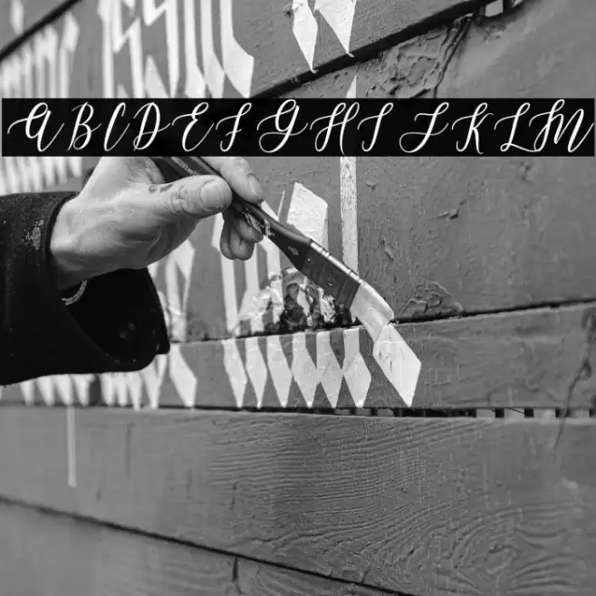 LeadentScript-Light Font examples