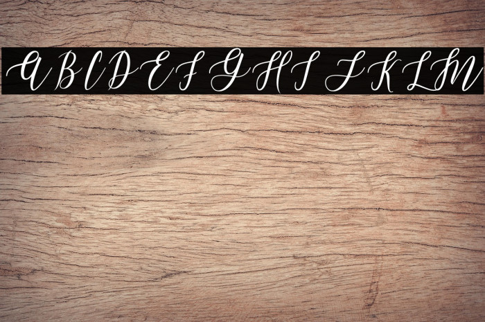 LeadentScript-Light Example 3