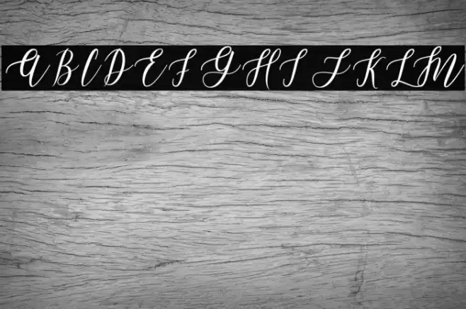 LeadentScript-Light Font examples