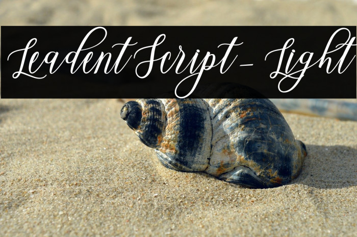 LeadentScript-Light Example 1