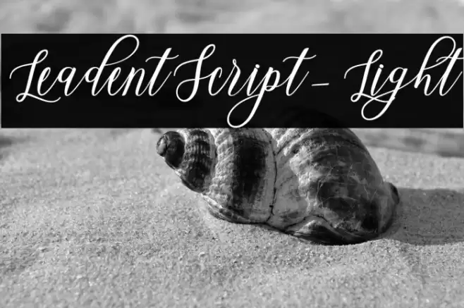 LeadentScript-Light Font examples
