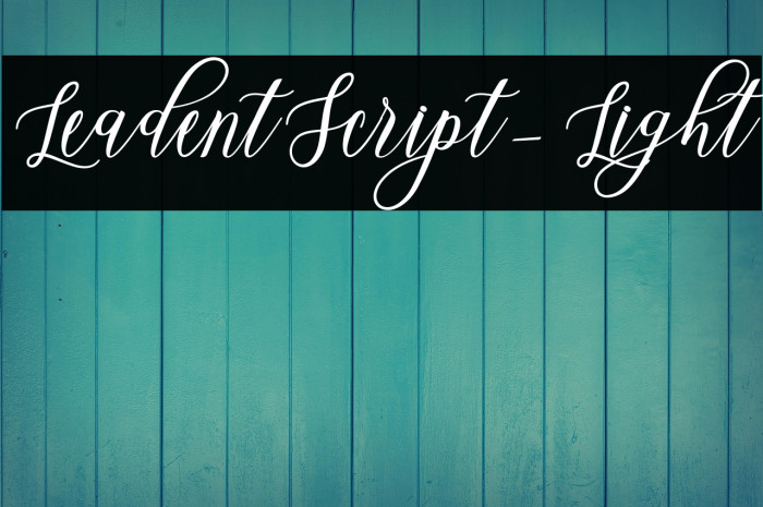 LeadentScript-Light Example 2