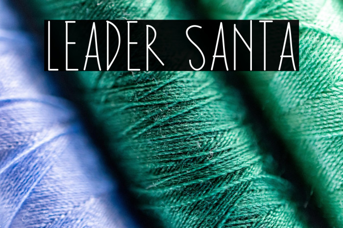 Leader Santa Example 3
