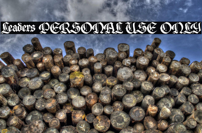 Leaders PERSONAL USE ONLY Example 3