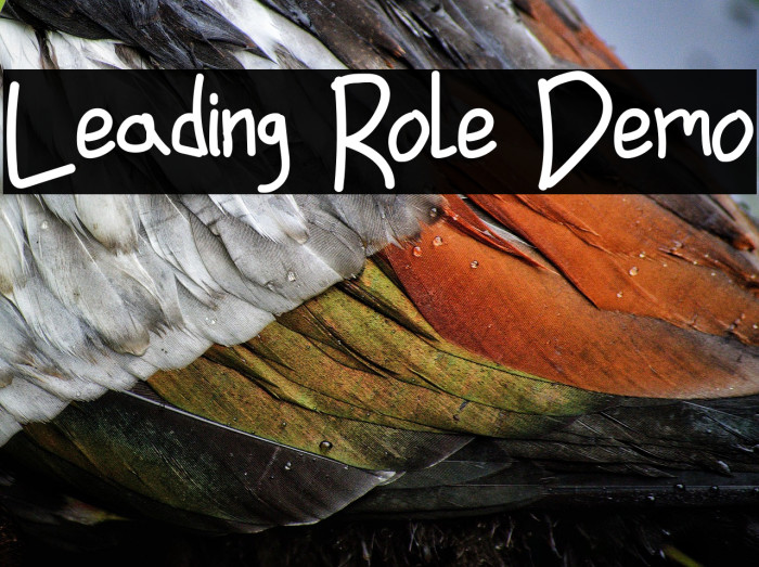 Leading Role Demo Example 3