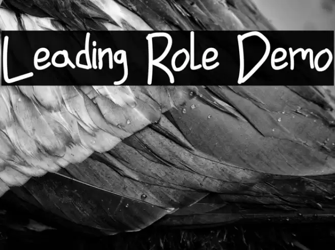 Leading Role Demo Font examples