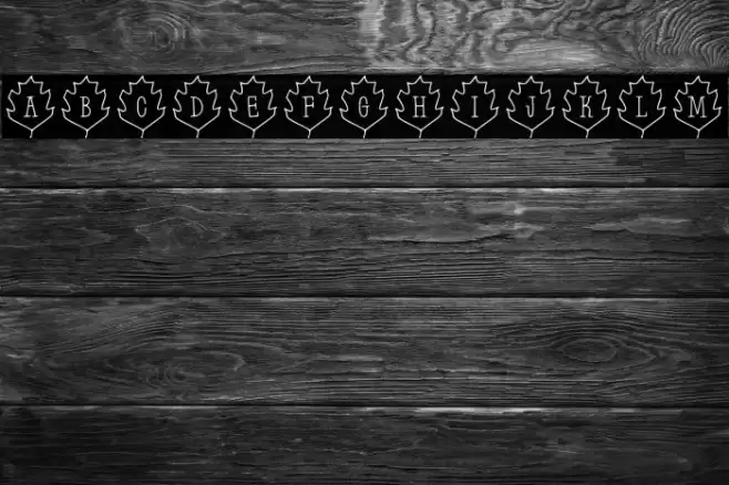Leaf Letters  Outline Demo Font examples