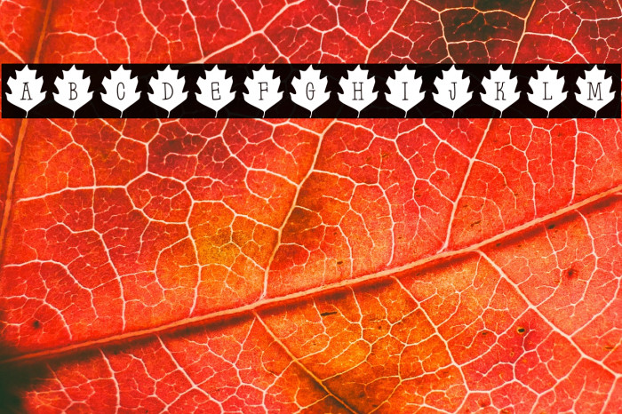 Leaf Letters  Regular Demo Example 1