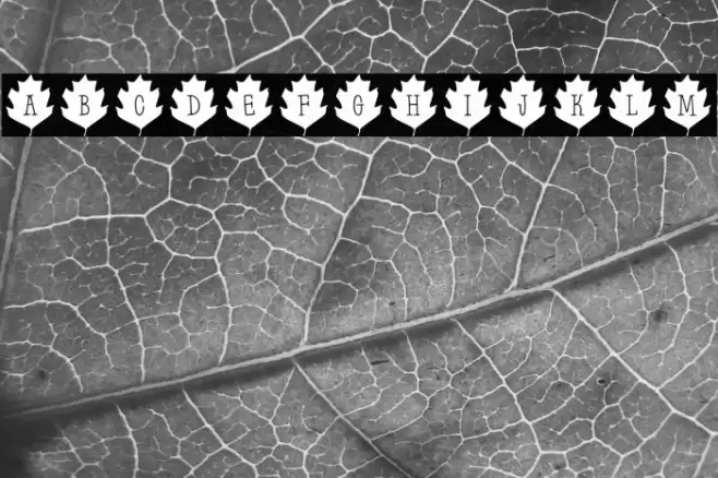 Leaf Letters  Regular Demo Font examples